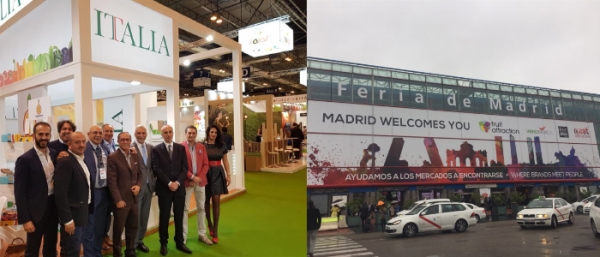 Ortofrutta, bilancio positivo per Asso Fruit Italia al Fruit Attraction di Madrid