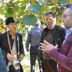 Salvatore Pecchia (giacca viola) con gli operatori cinesi nei frutteti del Metapontino