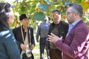 Salvatore Pecchia (giacca viola) con gli operatori cinesi nei frutteti del Metapontino